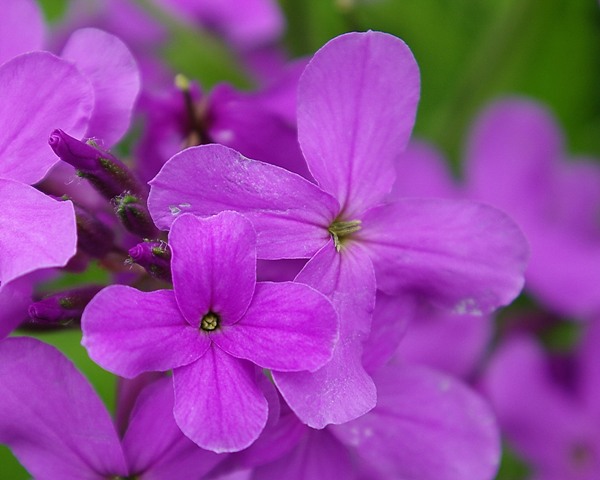 IMGP3202.jpg