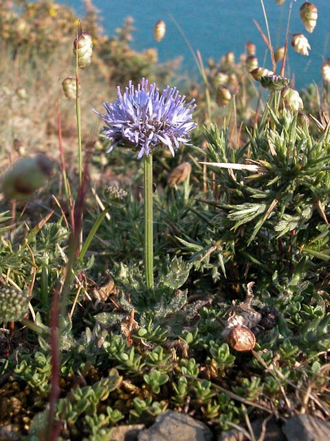 pr013205.jpg