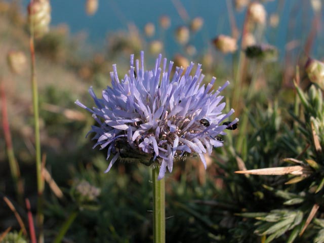 pr013207.jpg
