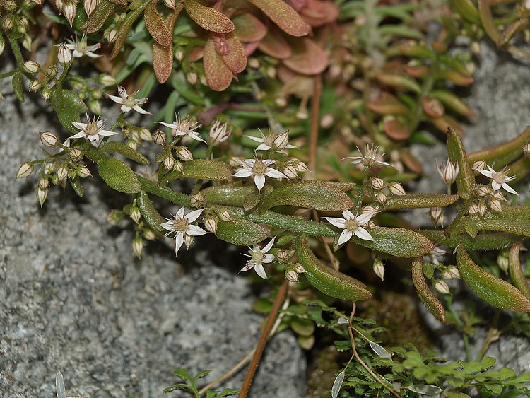 2009_06270020.JPG