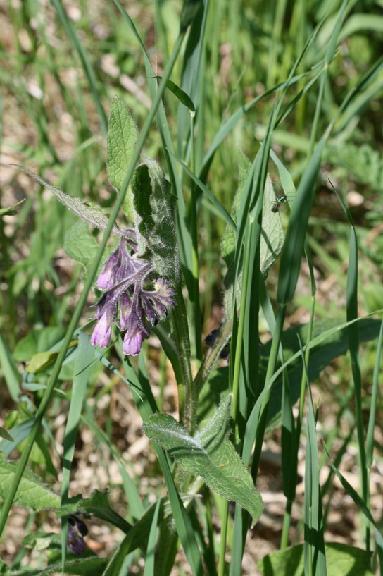 Image 3.jpg