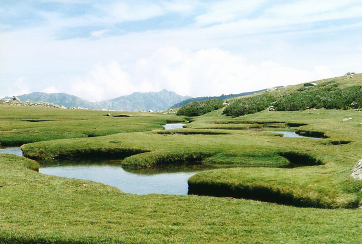 Les Pozzi à 1815 m.