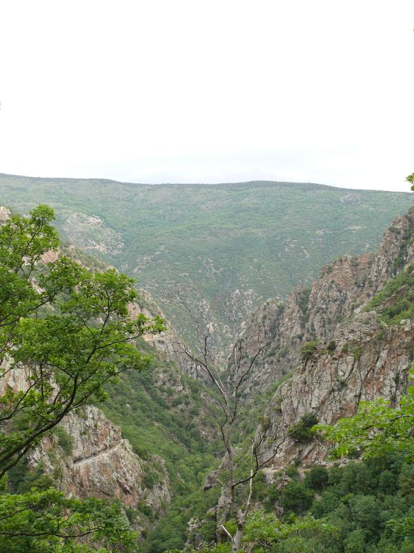 gorges de la caranca vue de dessus.jpg