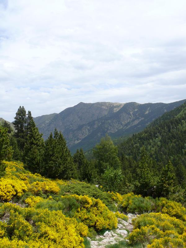 vallée.jpg