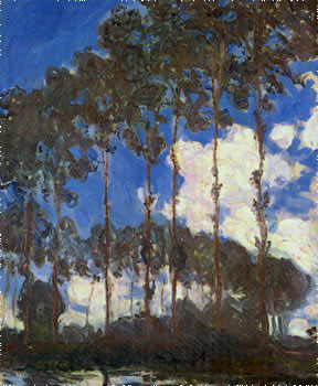 arbres.jpg