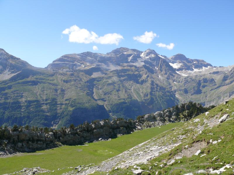 la pineta d'en haut.jpg