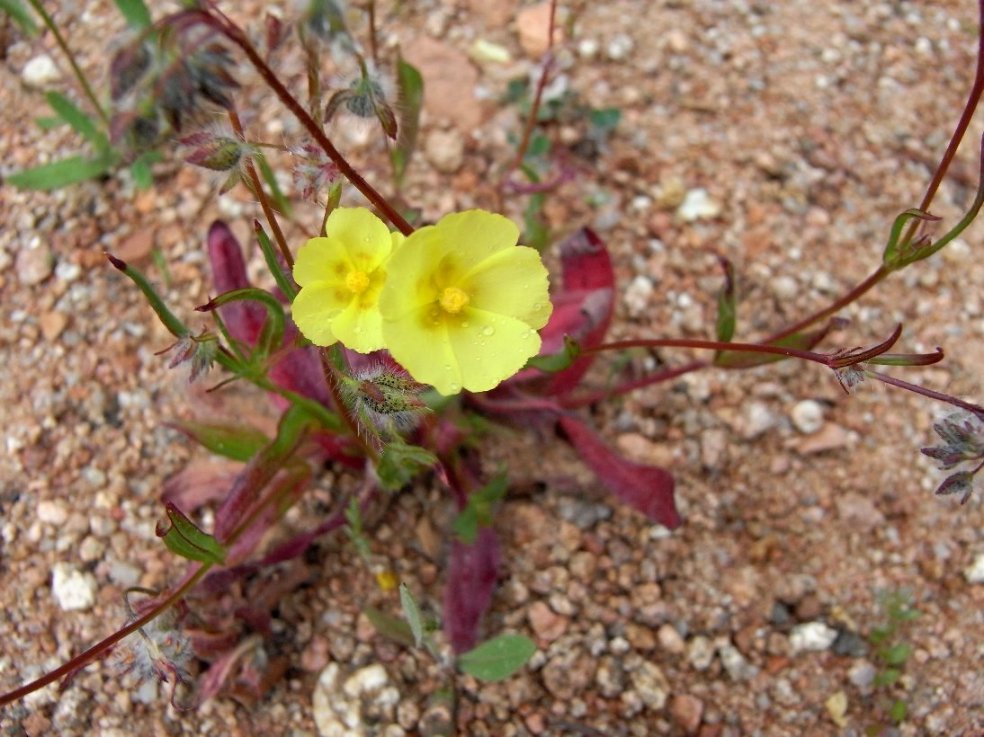 RIMG0561~2.JPG