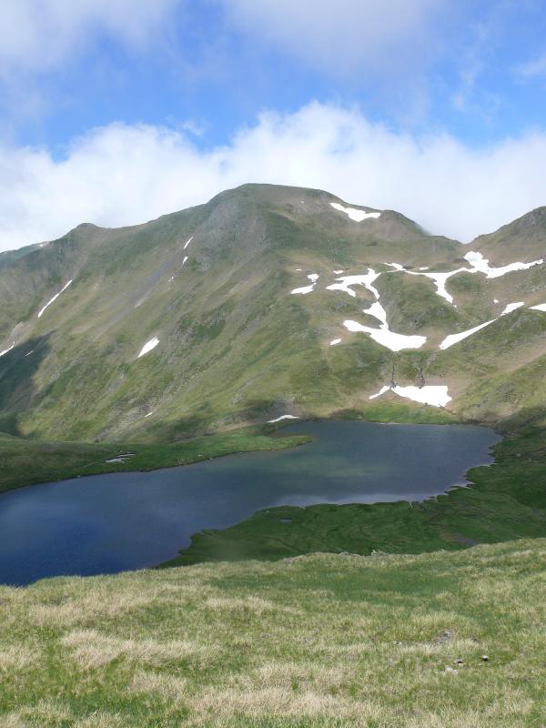 'escalar.jpg