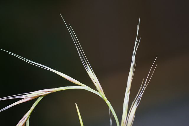 DSC00744 [640x480].JPG