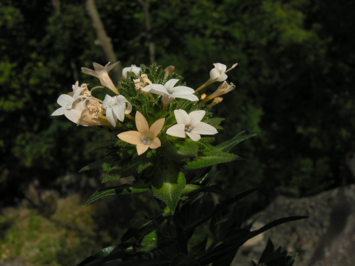 DSCN5006.JPG
