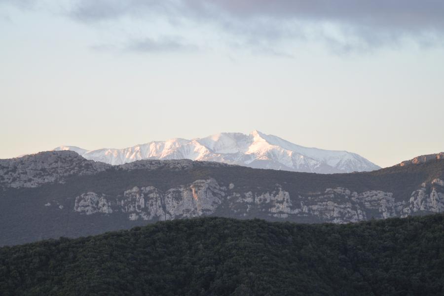 le canigou.jpg