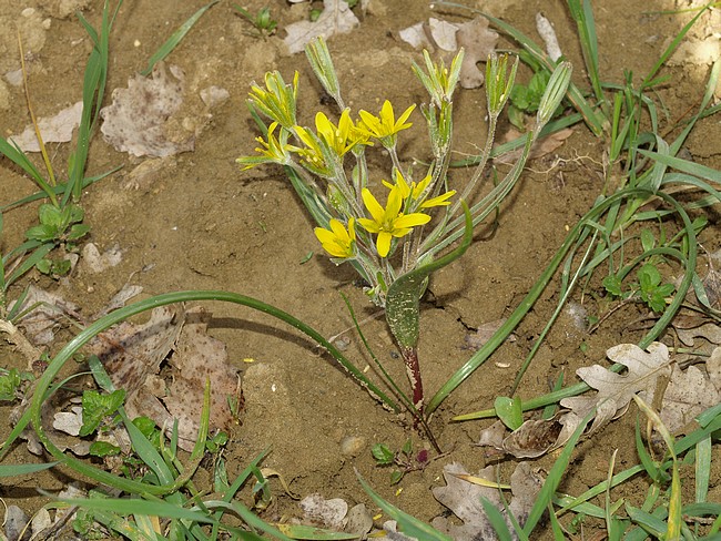 2010_04060043.JPG
