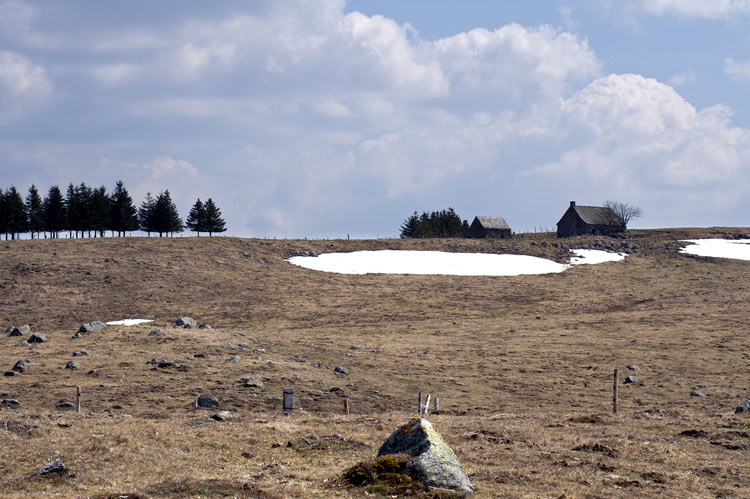 aubrac_2.jpg