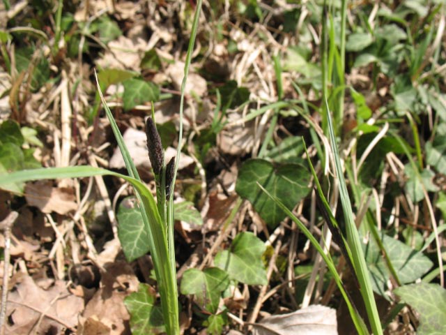 FR-25-Mandeure6405.jpg