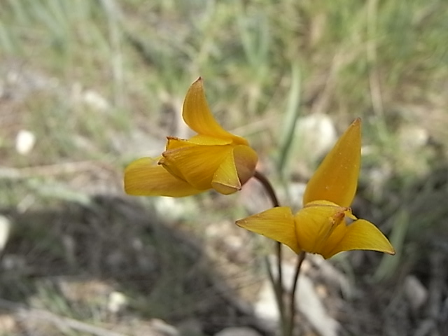 Avril 2010 102.jpg