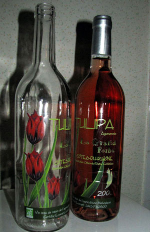 Tulipa-agenensis-0.jpg