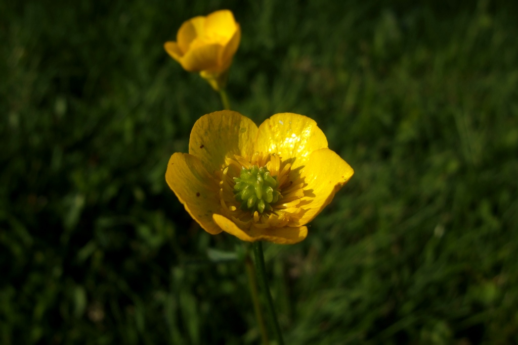 DSCF1577.JPG