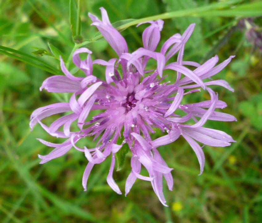 P1010201.JPG