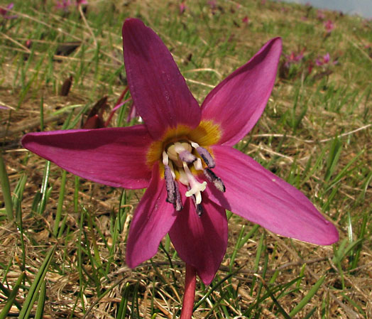 Photo prise le 1er mai 2009