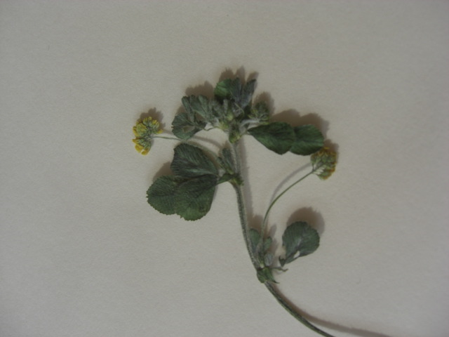 CIMG0060.JPG