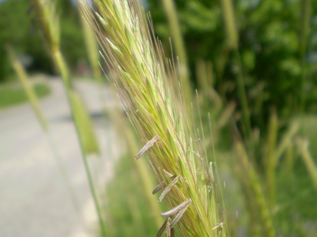 PB160020 [640x480].JPG