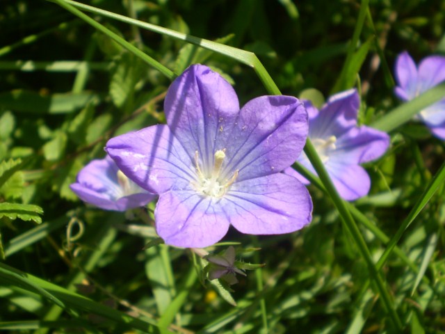 PB160062 [640x480].JPG