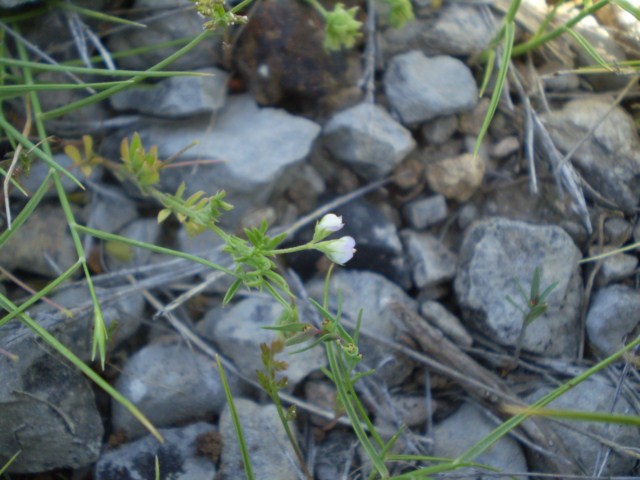PB170017 [640x480].JPG
