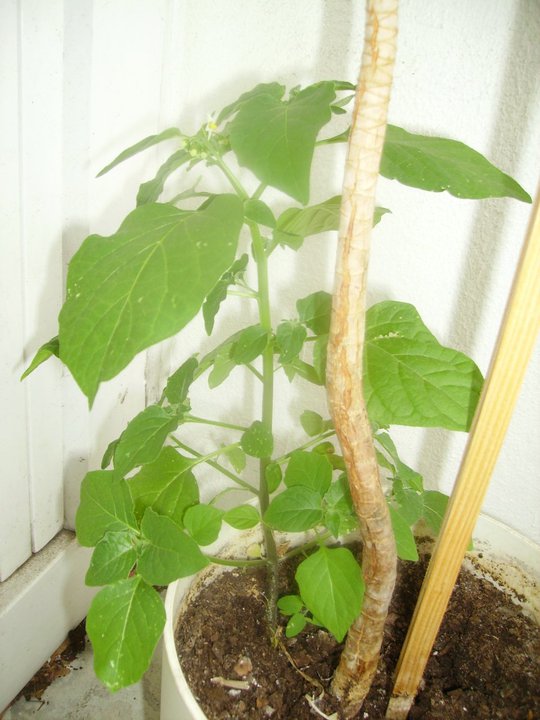 photo 01