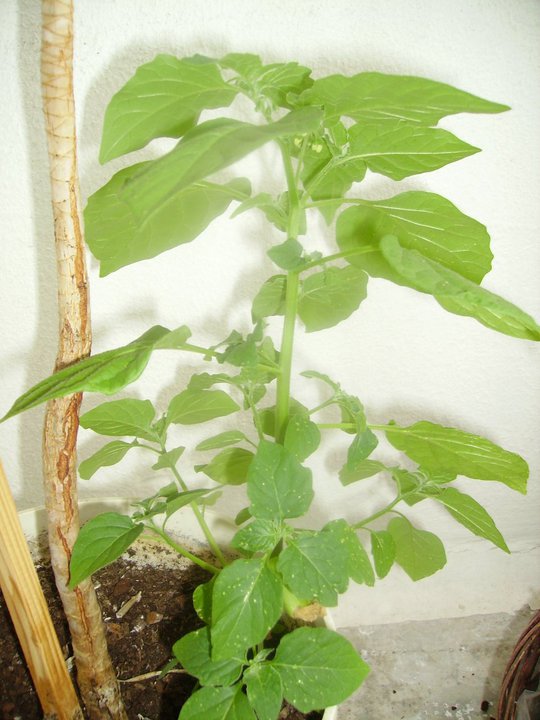 photo 02