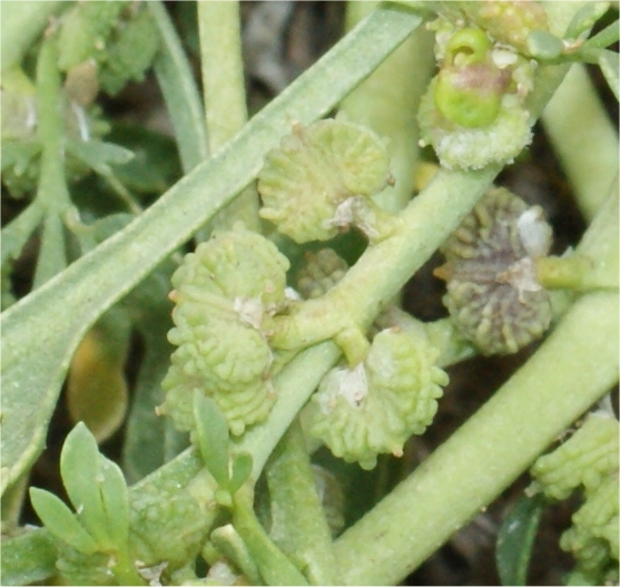Image3.jpg