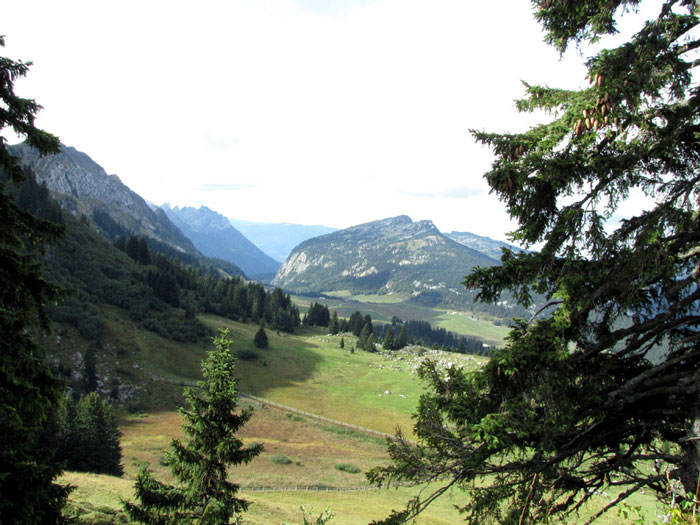 Plateau des Glières-2a.jpg