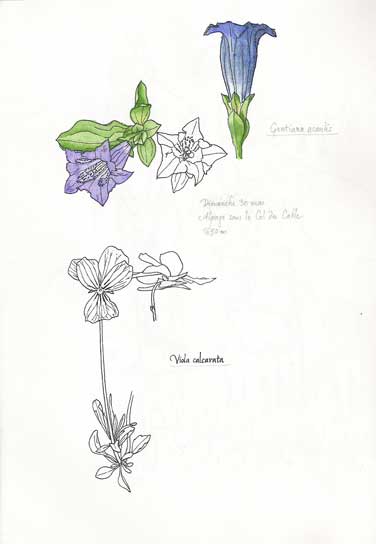Scan0022.jpg