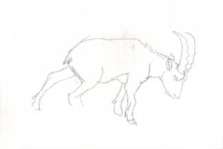 Scan0020.jpg