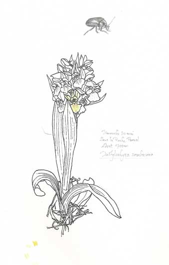 Scan0019.jpg