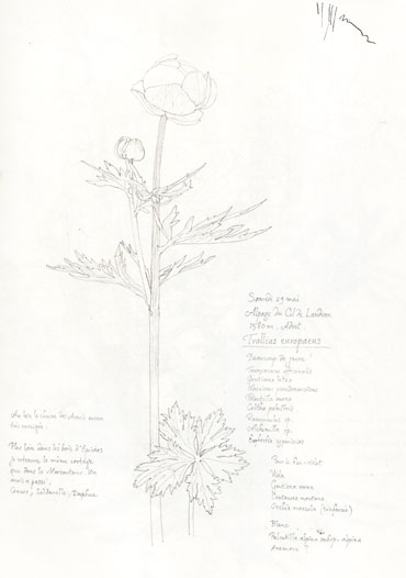 Scan0016.jpg