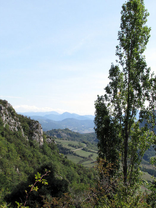 Extrémité du rocher de l'aigle