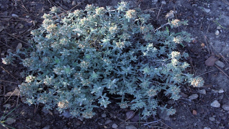 PS 007 [].JPG