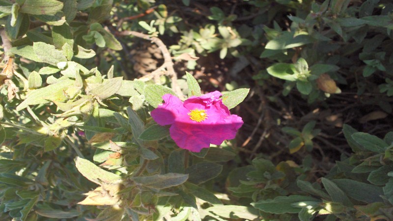 PS 051 [].JPG