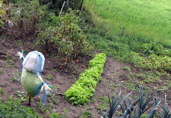 2010_09_f14-La-Vacherie.jpg
