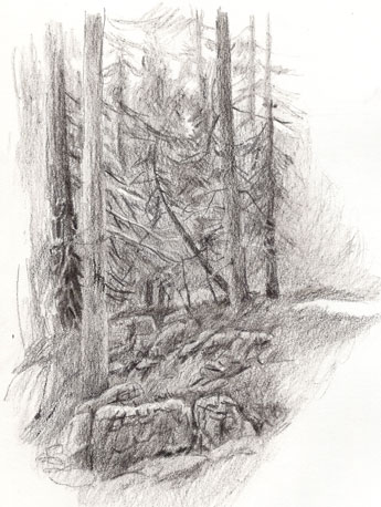 Scan0030.jpg
