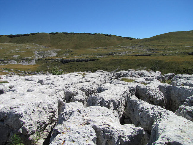 2010-08-b24-Les-Gagères.jpg