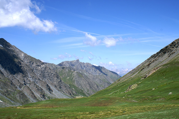 05.jpg