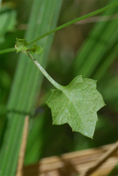 PHOTO2.jpg