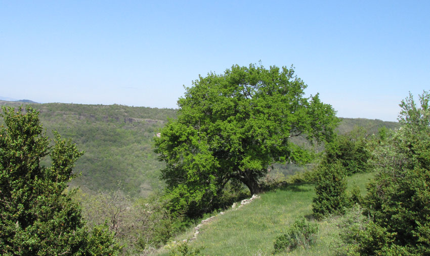 04.jpg